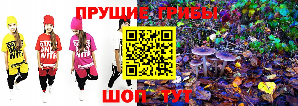 Обь  Галлюциногенные грибы прущие грибы  Вход с VPN 