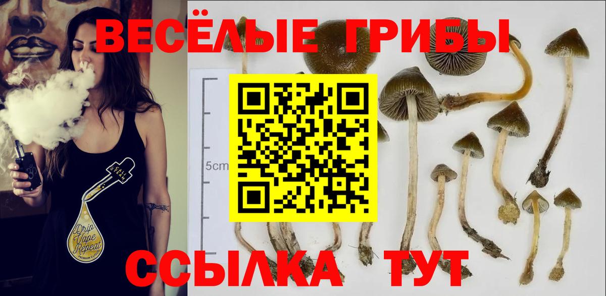 Псилоцибиновые грибы ЛСД Обь